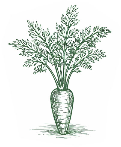 Zastosowanie mocznika